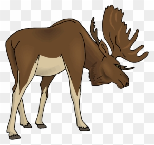 Angry Moose Clipart - Free Clipart Moose - Free Transparent PNG Clipart  Images Download
