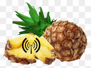 Of All Wifi-enabled Laptop And Mobile Phone Users In - Cafepress Pineapple Tile Coaster