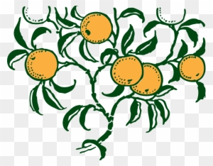 Lemon Tree Clipart 26, Buy Clip Art - Orange Tree Vector Art