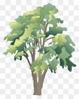 Ian Symbol Robinia Pseudoacacia - Rainforest Tree Vector Png