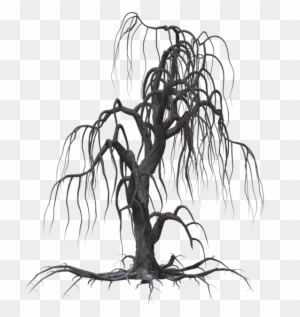 Creepy Tree 19 By Wolverine041269 On Clipart Library - Creepy Tree Drawing