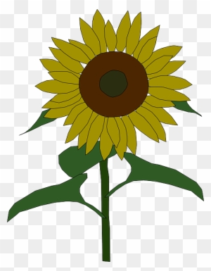 Outline, Yellow, Drawing, Plants, Sun, Flower, Flowers - Sunflower Clip Art Outline, Yellow, Drawing, Plants, Sun, Flower, Flowers - Sunflower Clip Art