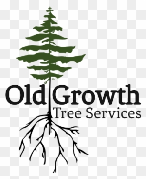Old Growth Tree Services - Old Growth Tree Services Ltd.
