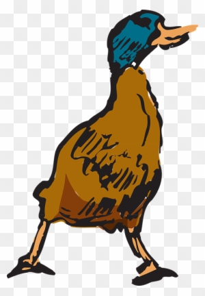 Wood Duck Clipart Bebek Cartoon Duck Free Transparent Png Clipart Images Download Wood Duck Clipart Bebek Cartoon Duck Free Transparent Png Clipart Images Download