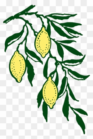 Yellow, Leaf, Tree, Cartoon, Branch, Free, Lemon - Lemon Branch Clip Art