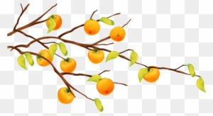 Cartoon Fruit Tree Tangerine - Orange Tree Cartoon