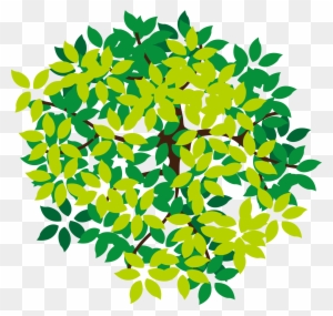 Lush Tree Top - Tree Icon Png From Top