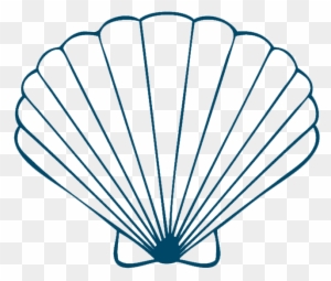 Sea Shells On Seashells Shells And Conch Clipart - Sea Shell Drawing