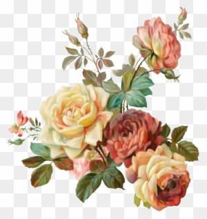 Flower Garden Roses Vintage Clothing Paper Shabby Chic - Overlay Flor