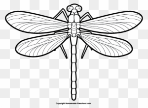 Free Dragonfly Clipart - Dragon Fly Clip Art