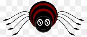 Animated Picture Of A Spider