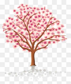 Cherry Tree Stock Images, Royalty Free Images Vectors - Spring Tree Clipart