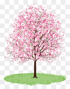 Spring Tree Cliparts - Cherry Blossom Tree Transparent