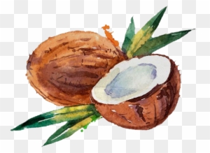 Coconut Water Coconut Milk Watercolor Painting - Coconut Water Paint
