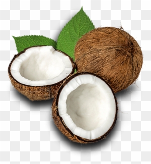 Coconut Ice Cream - Oskri - Gluten-free Coconut Bar Almond - 20 Bars
