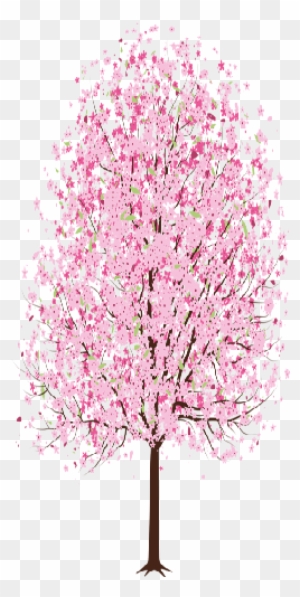 13 Oct 2014 - Cherry Blossom Tree Easy Drawing