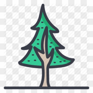 Christmas Tree, Evergreen Tree, Fir Tree, Pine Tree, - Tree