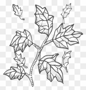 Autumn Leaf From Tree Branch Coloring Page - Coloring Book