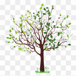 Pin Free Family Tree Clipart - Tree Clip Art Png