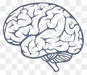 Brain Clipart Transparent Png Clipart Images Free Download Page 3 Clipartmax