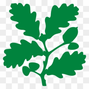 The Oak Leaf Symbol, Which We've Used Since The 1930s, - Different Charities In The Uk