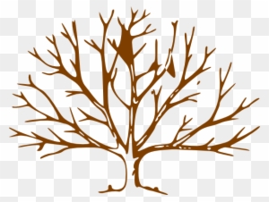 Tree Clip Art At Clkercom Vector Online Royalty Free - Drawings Of Small Trees
