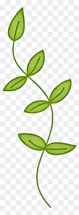 stem and leaf clipart transparent png clipart images free download clipartmax