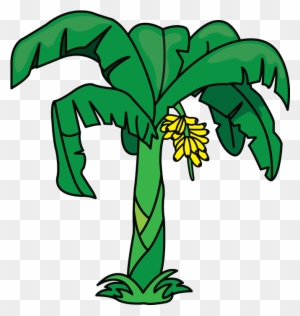 Another Tutorial In Flowers And Plants Category Is - Drawing Of A Banana Tree