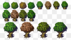 Tree Variations From Jetrel's Wood Tileset Opengameart - Top Down Tree Sprite