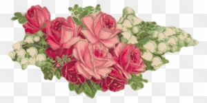 {click On Png Image To Download/save} - Garden Roses