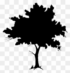 African Tree Silhouette Png For Kids - Clip Art Tree Silhouette