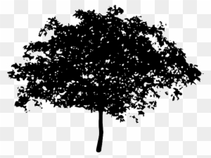 Silhouette Tree, Bush, Nature, Leaves, Trunk, Silhouette - Voice Of The Children In The Apple Tree
