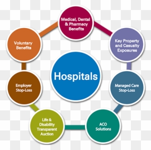 Hospital Insurance Solutions - Integrated Healthcare Delivery System