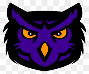 I'm Hoping To Use This Logo In My Fictional Football - Purple Owl Logo