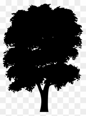 Tree Silhouettes - Mango Tree Silhouette Vector