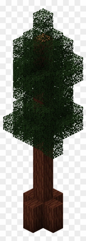 Redwood - Maple Leaf