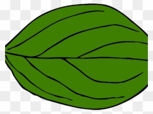 Leaf Clipart Oval - Oval Leaf