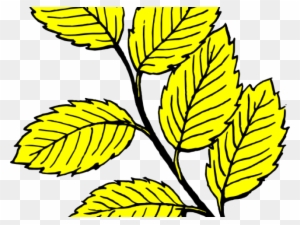 Leaf Clipart Yellow Birch - Leaf Black And White