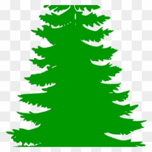 Pine Tree Clip Art Pine Tree Clip Art At Clker Vector - Pine Tree Clip Art