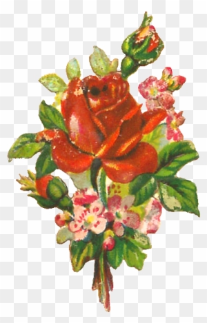 Antique Images Flower Rose Clip Art Vintage Graphic - Cut Flowers