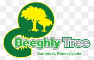 Beeghly Tree Service - Beeghly Tree Service Llc