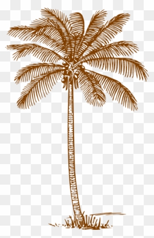 Palm Tree Svg Clip Arts 384 X 595 Px - Coconut Tree Clipart Black And White