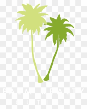 The Beach, Pool, Palm Trees - Palm Realty Boutique Logo