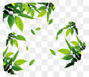 Leaf Download Icon - Tea Leaves Png - Free Transparent PNG Clipart ...