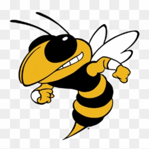 Clinton Yellow Jackets - Georgia Tech Yellow Jackets Football