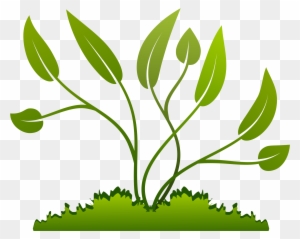 Leaf Growing Cliparts - Plants Clipart