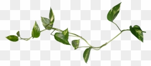 Blog Leaf Desktop Wallpaper Clip Art - Watercolour Leaves Clip Art