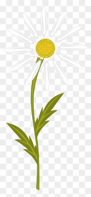 Camomile - Chamomile Flower Clip Art