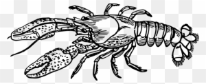 Crawfish Clip Art 29, - Lobster Black And White