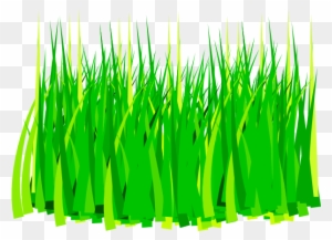 Grass 3 Clip Art - Grass Clip Art